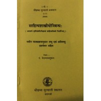 Sahitya Sastriya Nibandha साहित्यशास्त्रीयोनिबन्धः